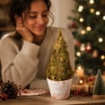thumbnail image 5 of Fmbmuo Christmas Decor Creative Mini Tree Heart Shaped Desktop Ornament Festive Potted Decor for Desk and Shelf Ornaments,Green, 5 of 5