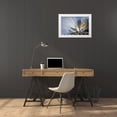 thumbnail image 3 of Jaynes Gallery 32x23 White Modern Wood Framed Museum Art Print Titled - Washington State-Seabeck Morning sunburst in tree, 3 of 4