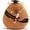 Capibara, variant on 10 Inch 2026 Graduation Season Cow Stuffed Animal Plush with Diploma Tassel Graduation Hat Embroidered Blessings Preschool Kindergarten Gift for Student, Friends, Relatives, Kids