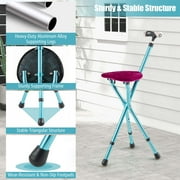 Goplus Adjustable Folding Cane Seat Stool Aluminum Alloy Crutch Chair with Light Black