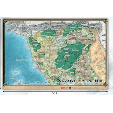 Dungeons &amp; Dragons: Savage Frontier Map (21" X 28") Storm Kingâ€™s Thunder Map Mat | Walmart Canada