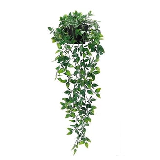 EZLIFE Artificial Indoors Fake Trailing Hanging Plants in Pots- D2M0 -  Walmart.com
