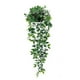 thumbnail image 1 of SGACAI Helecho falso, hojas colgantes de plástico, flores artificiales, decoración., 1 of 1