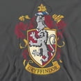 thumbnail image 2 of Harry Potter Gryffindor Crest Unisex Adult Pull-Over Heather Hoodie, 2X-Large, Charcoal, 2 of 4