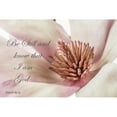 thumbnail image 3 of Poinski, Dianne 24x17 Black Modern Framed Museum Art Print Titled - Be Still Magnolia, 3 of 5