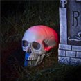 Life Size Human Skull Model Plastic Decoration Prop 5.9x6.3x8.6 Inch ...