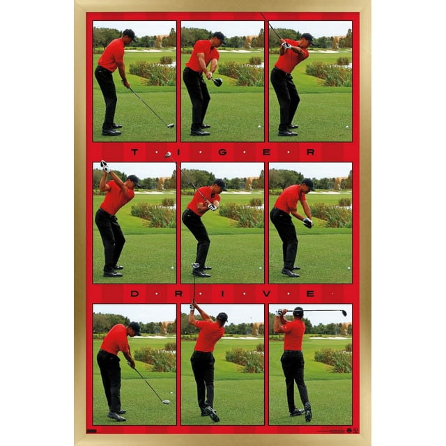 Tiger Woods - Conduire