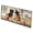 Affenpinscher 1720, variant on Black Lab Fall Kitchen Pumpkins Runner Mat 28x58 58 in x 28 in