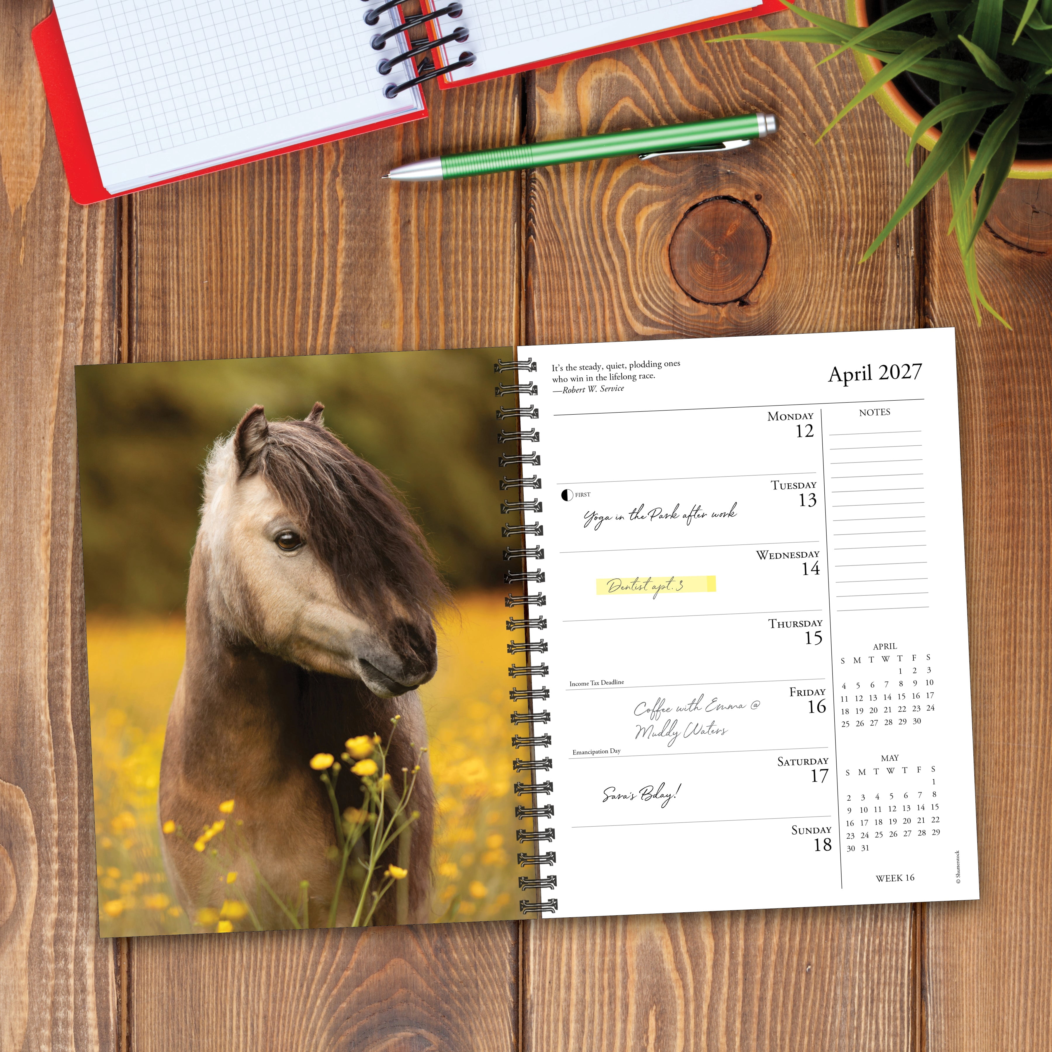 Willow Creek Press, What Horses Teach Us 2027 Engagement Calendar