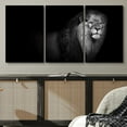 thumbnail image 2 of PixonSign Canvas Print Wall Art Set Pinhole Style Lion Portrait Animals Wildlife Photography Realism Rustic Closeup Relax/Calm Dark Black and White for Living Room, Bedroom, Office - 16"x24"x3, 2 of 5