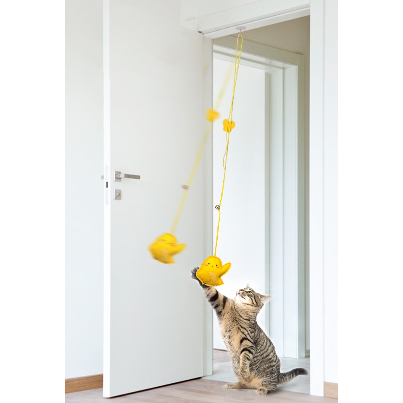 Cat scratching at door top