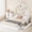 White + Solid Wood-Queen, variant on Wood Queen Size House Platform Bed with Guardrail and 2 Drawers for Kids Bedroom, No Box Spring Needed,White