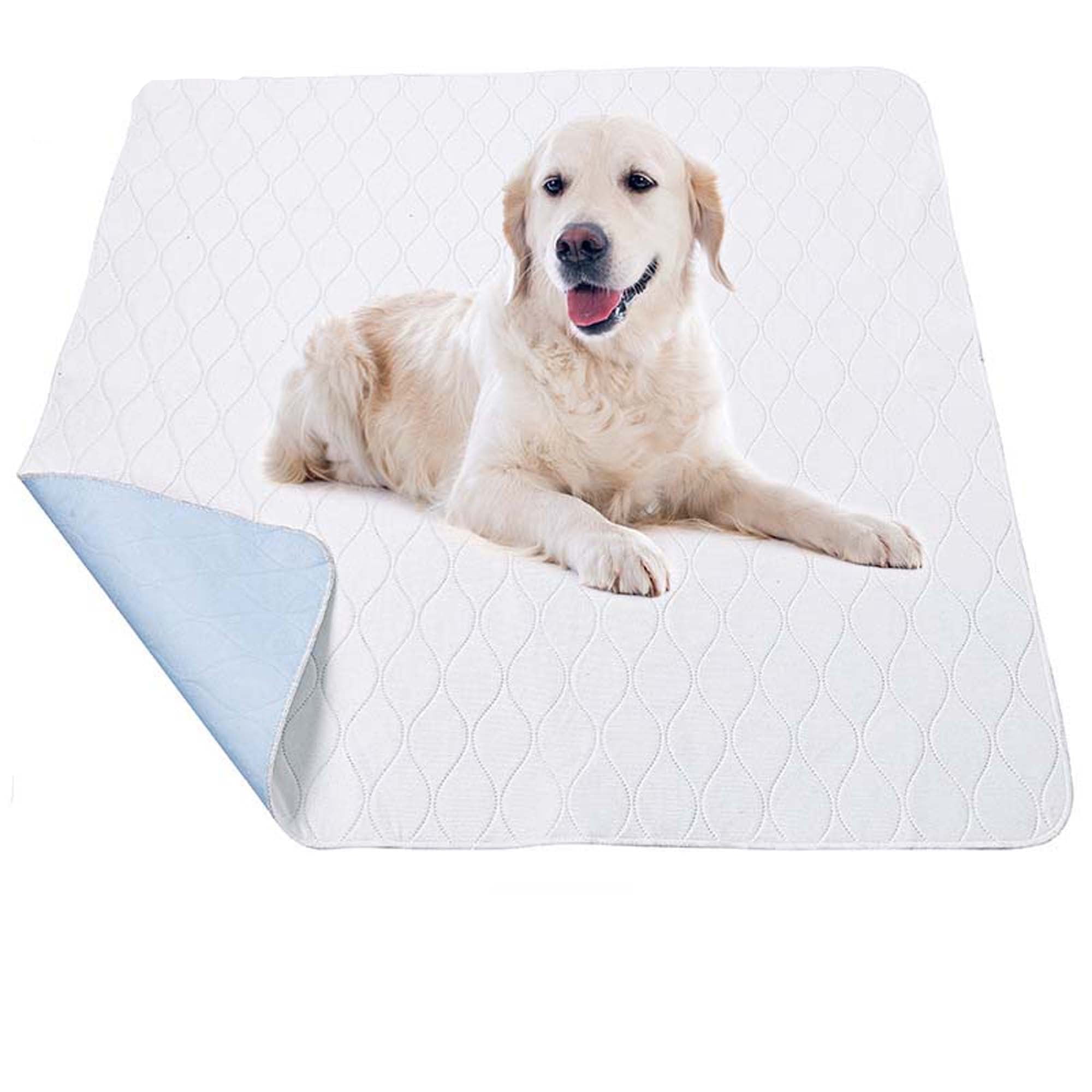 Rocky and Maggie s Pop Up Pee Pad Puppy Pee Pad Male Puppies and Dogs Will Love The Hydrant Target Pee Pee Pad for Potty Training No Need for Pee