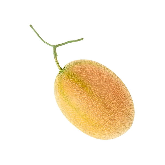 HOMEMAXS Shopwindow Adornment Fruit Model Decor Artificial Cantaloupe Prop Baby