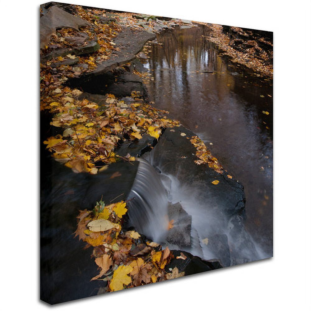 Trademark Fine Art "Lakeview Autumn Waterfall #2" Canvas Art by Kurt Shaffer