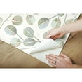 thumbnail image 3 of Catcoq Eucalyptus Peel & Stick Wallpaper, 3 of 5