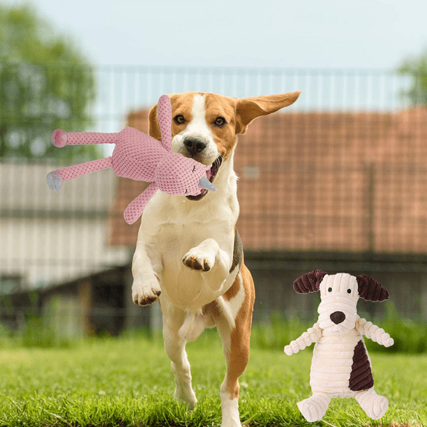 Chew toys for 2025 dogs walmart