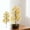 C, variant on TIELUTT 34 Cm in Length with A Diameter Of 15 Cm At the Branches Realistic Green for Mini Flowers in Winter Flowers Sunflower Flowers Easter Flowers Wedding Garland