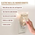 thumbnail image 2 of D'Eco Owl Plug-in Fragrance Wax Melt Warmers (Pack of 2) Electric Scented Tart, Oil & Candle Warmer w 4 Cinnamon Wax Cubes - Halogen Bulb Melts Wax & Fills Room w Fresh Holiday Scents, 2 of 5