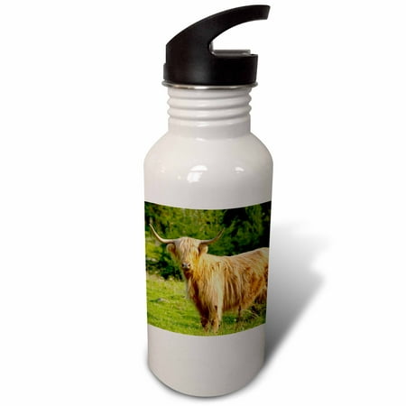 

3dRose Hairy Highland longhorn cattle Brown Smaland Sweden - EU28 PKA0053 - Per Karlsson Sports Water Bottle 21oz