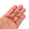 thumbnail image 4 of Unique Bargains 100 Pieces Metal Wire Hollow Out Clips 32mm Mini Binder Paper Clip Rose Gold, 4 of 6