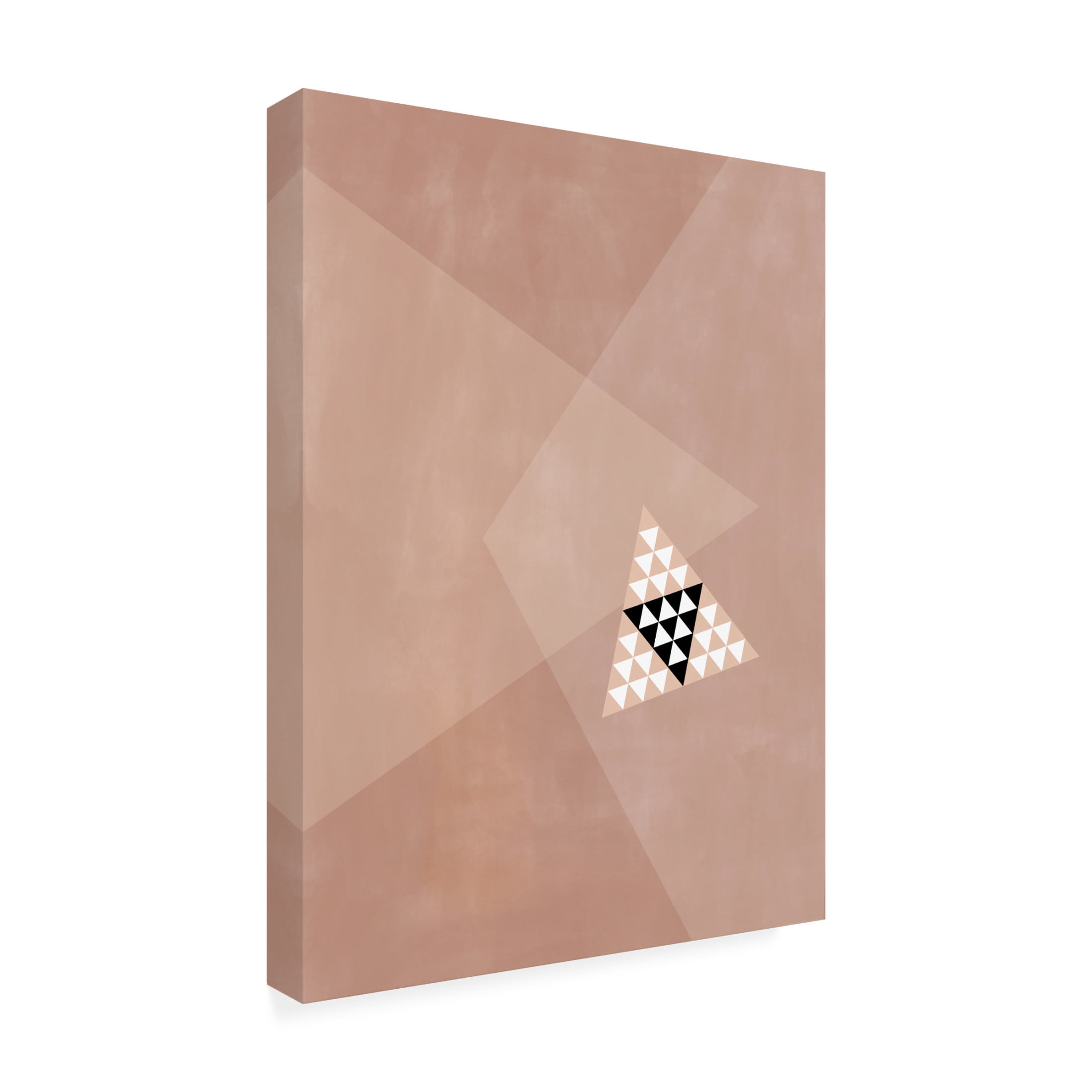 Trademark Fine Art Elena Ristova softpink19 Canvas Wall Art
