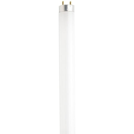 48 Inch Rapid Start Lamps - Satco S8420 48-Inch 4100K 32-Watt Medium Bi Pin T8 Instant/Rapid Start Lamp, Cool White