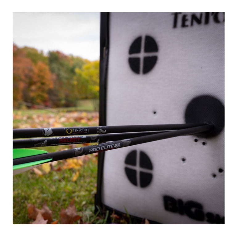 TenPoint Pro Elite 400 Select Carbon Arrows 20 in. Alpha-Nock HP 6