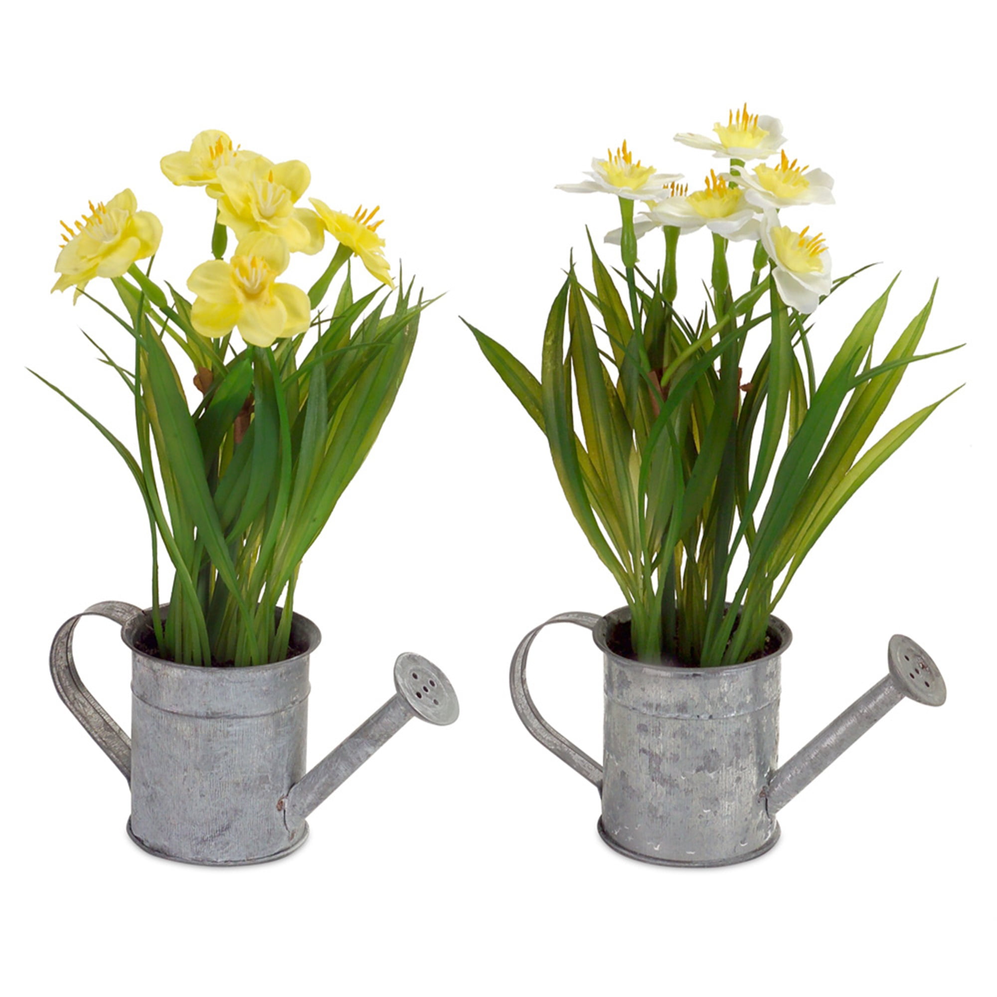Daffodil in Watering Can (Set of 12) 9"H Metal/Plastic