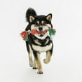 thumbnail image 5 of VIBRANT LIFE SMALL RUBBER ROPE DOG TOY, 5 of 5