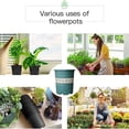 thumbnail image 5 of Olla de galón, maceta gruesa, balcón, verduras en maceta, plantas verdes, rosa, maceta de plástico suculenta, 5 of 5