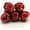 Red, variant on Fake Red Apples Artificial Apple Model Simulation Lifelike 6 PCS Fruit Set for Home Kitchen Wedding Party Fall Christmas Decoration