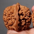 thumbnail image 4 of 2-Pack Chinese Wenwan Walnuts, Natural Walnut Fidget Toys for Hand Exercise, Stress Relief & Massage, 1.8 Inch Palm Size, Traditional Health Care Balls, 4 of 8