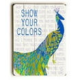 thumbnail image 1 of Show Your Colors - 18x24 Planked Wood Wall Decor by Lisa Weedn, 1 of 1