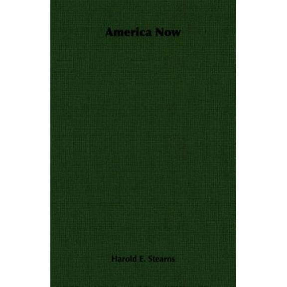 America Now (Paperback)