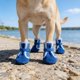 thumbnail image 4 of Zapatos transpirables para mascotas que cuidan de tu mascota. Elegantes y bonitos, que resaltan su personalidad única., 4 of 4