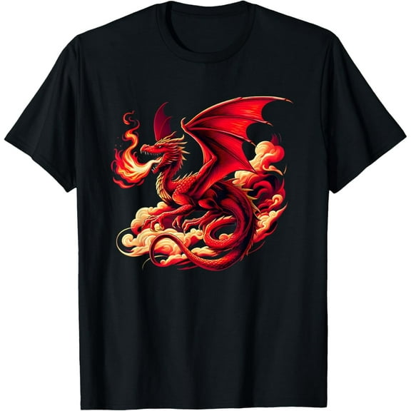 Mythical Red Dragon Breathes Fire On Clouds, Boy Girl Dragon T-Shirt