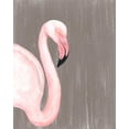 thumbnail image 2 of McCavitt, Naomi 20x24 Gold Ornate Wood Framed with Double Matting Museum Art Print Titled - Vibrant Plumage III, 2 of 4