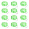 thumbnail image 1 of Luces de Hadas CAMANTU Paquete de 12 Cuerdas Verdes de 2,1 m con 20 LED Resistente al Agua, 1 of 7