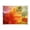 Various Shades Autumn Leaves, variant on Acrylic Tray Clear Serving Tray Rectangle Decorative Tray with Cut Handle Vibrant Red Maple Leaves