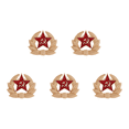 thumbnail image 1 of Likrtyny Broche Esmaltado Con Símbolo La URSS CCCP Alfileres Solapa La Antigua Unión Soviética (estrella Trigo), 1 of 6