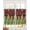 Green White DarkRed, variant on Brown Christmas Tree Sheer Curtains 39 Inch Length 2 Panels Set for Living Room/Bedroom, Xmas Trees Snowflake Winter Wood Kitchen Curtains Grommet Semi-Sheer Curtains Window Treatments 27.5"x39"x2