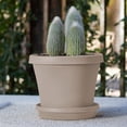 thumbnail image 2 of Bloem Terra Pot Planter: 12" - Pebble Stone Beige - Durable Resin Pot, for Indoor and Outdoor Use, Gardening, 3.5 Gallon Capacity, Saucer Sold Separately, 2 of 6