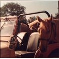 thumbnail image 4 of Bahamas - Earth Tones ( Vinyl), 4 of 7