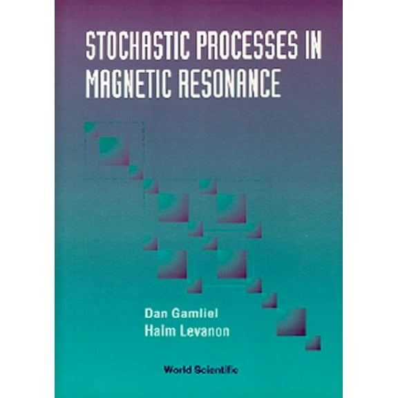 Stochastic Processes in Magnetic..., (Hardcover)