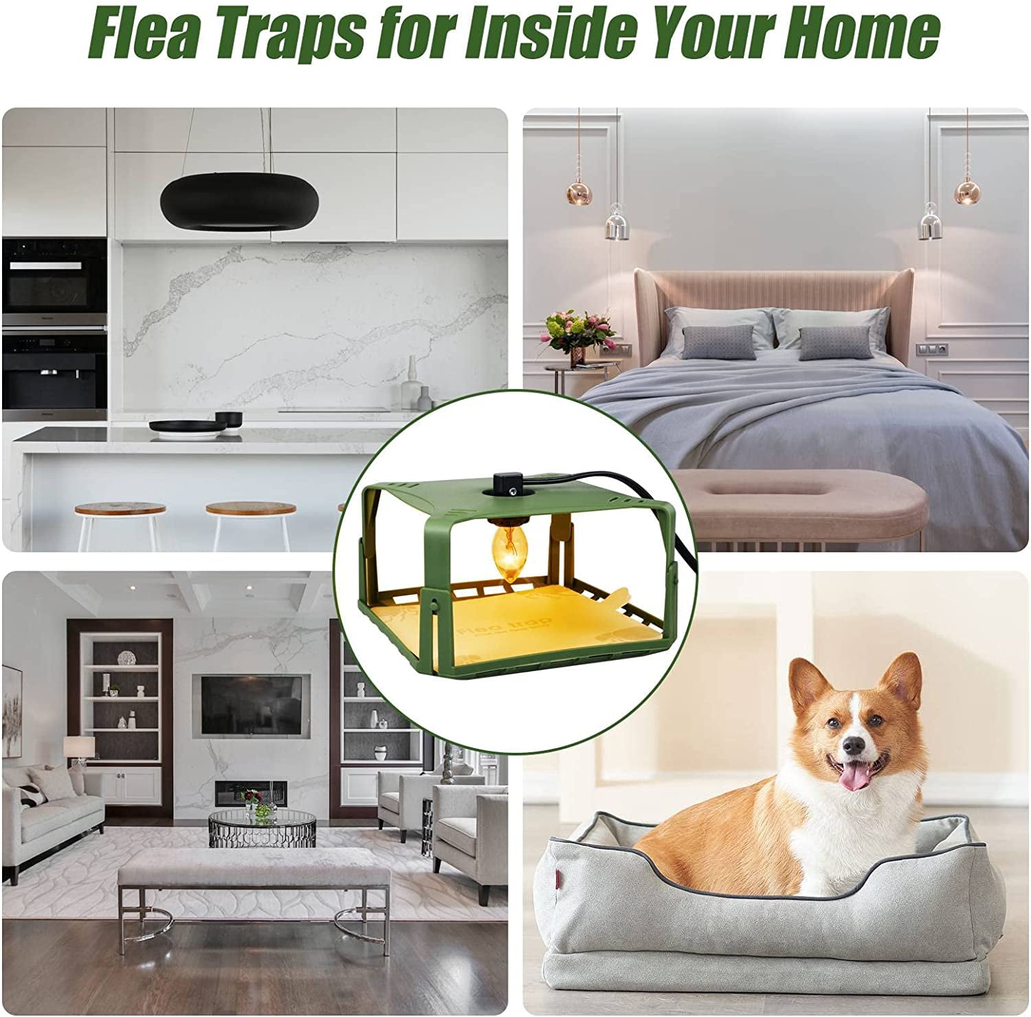 Jahy2Tech 2Pcs Flea Trap Indoor Flea Strap Flea Killer Trap Pad Bed Bug Trap with 4 Stickers 6 Bulbs