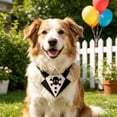 thumbnail image 2 of Halloween Pet Collar Costume Accessory, Skull Ghost Pumpkin Spider Bat Design Neck Bib Bandana for Small Medium Dogs Cats, Cute Holiday Dress Up Decor for Trick Or Treat Party Pet Photo Prop, 2 of 6