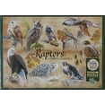 thumbnail image 2 of Cobblehill 80023 1000 pc Common Raptors Puzzle, Various, 2 of 2