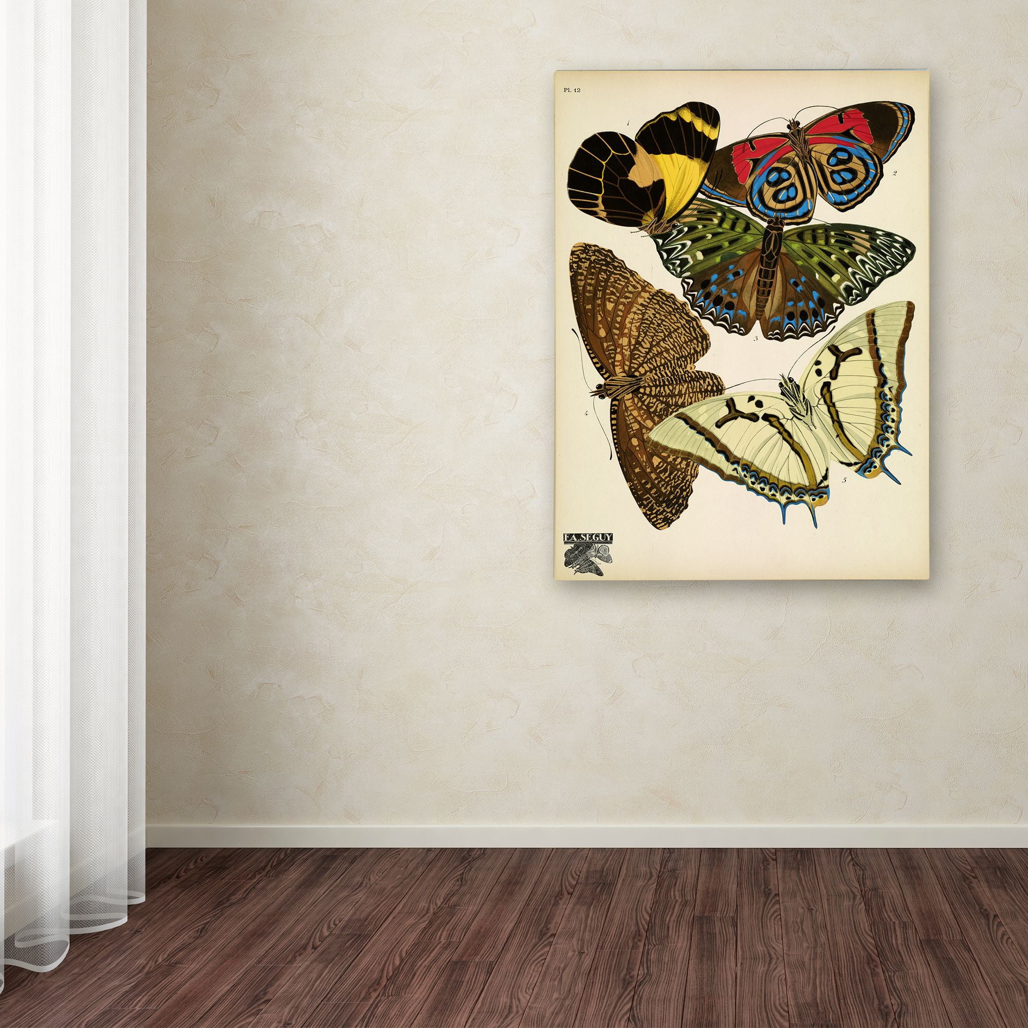 Trademark Fine Art 'Papillons 12' Canvas Art by Vintage Apple Collection