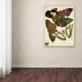 thumbnail image 3 of Trademark Fine Art 'Papillons 12' Canvas Art by Vintage Apple Collection, 3 of 3